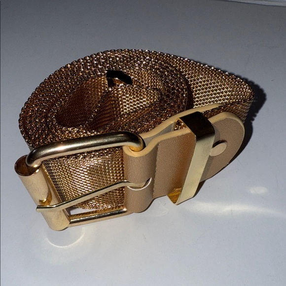 Gold Mesh Belt - Picture 7 of 7